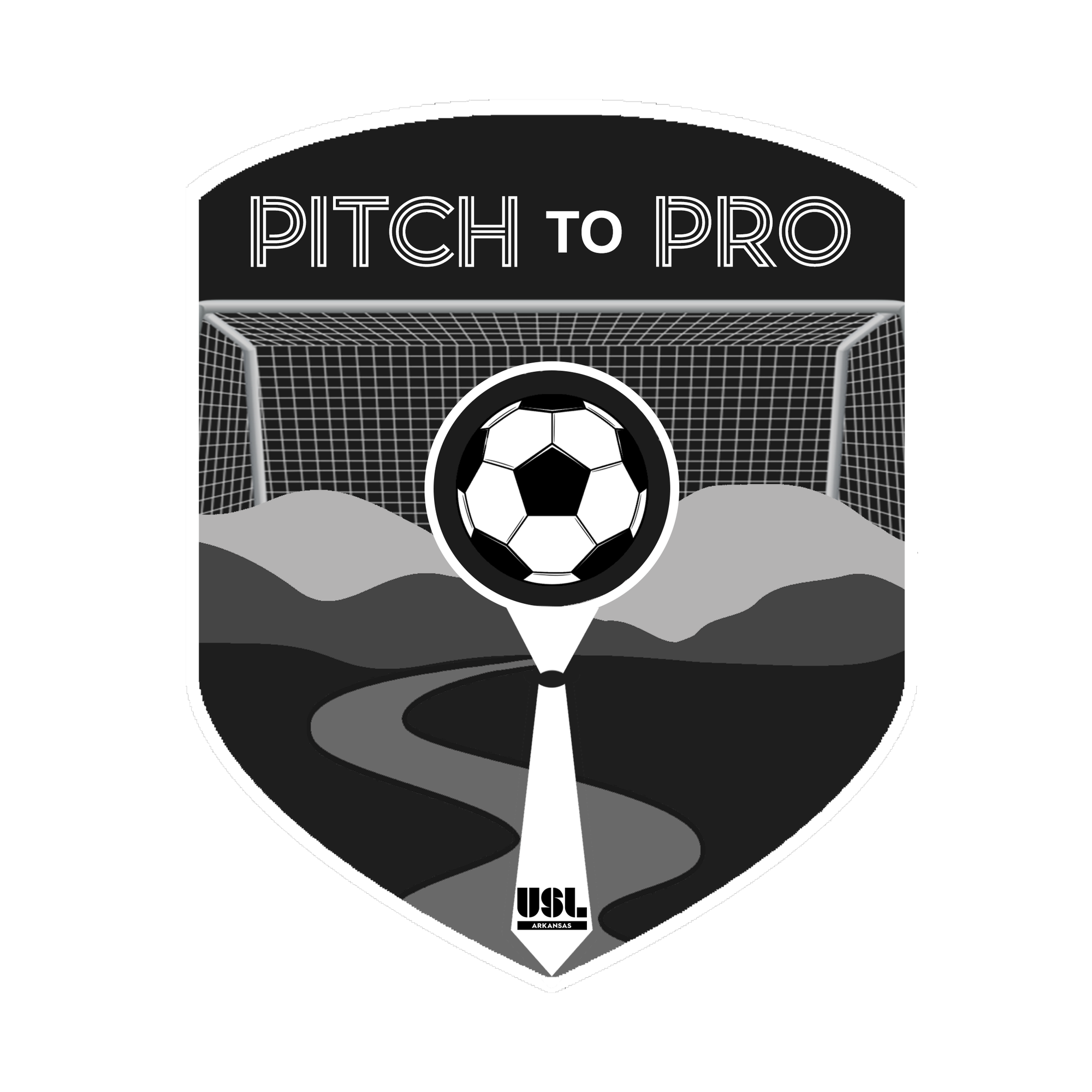 The Pitch to Pro Podcast