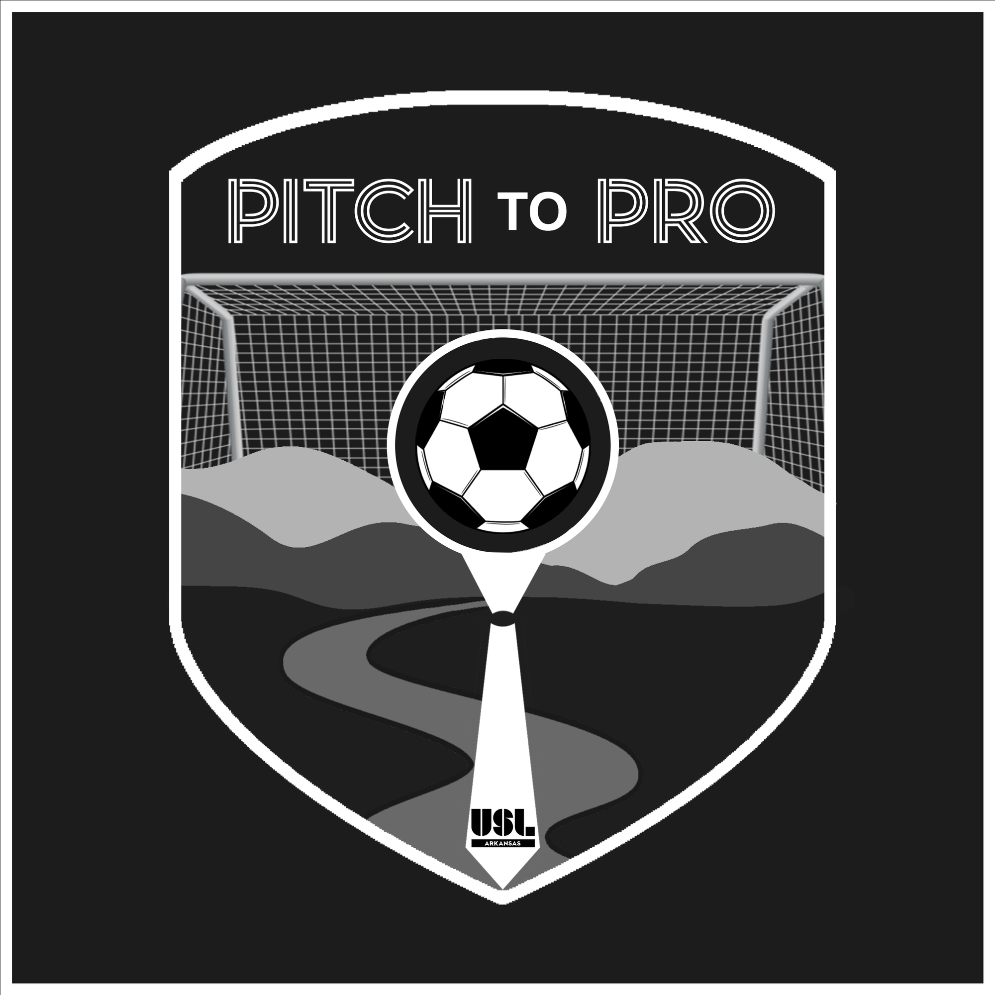 The Pitch to Pro Podcast